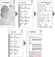 ridges-version2-diagramm.png