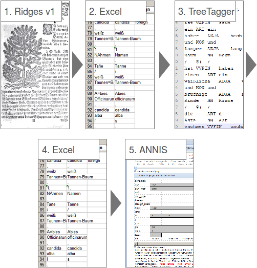 ridges-version2-diagramm.png